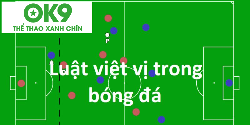 processed viet vi trong bong da tim hieu
