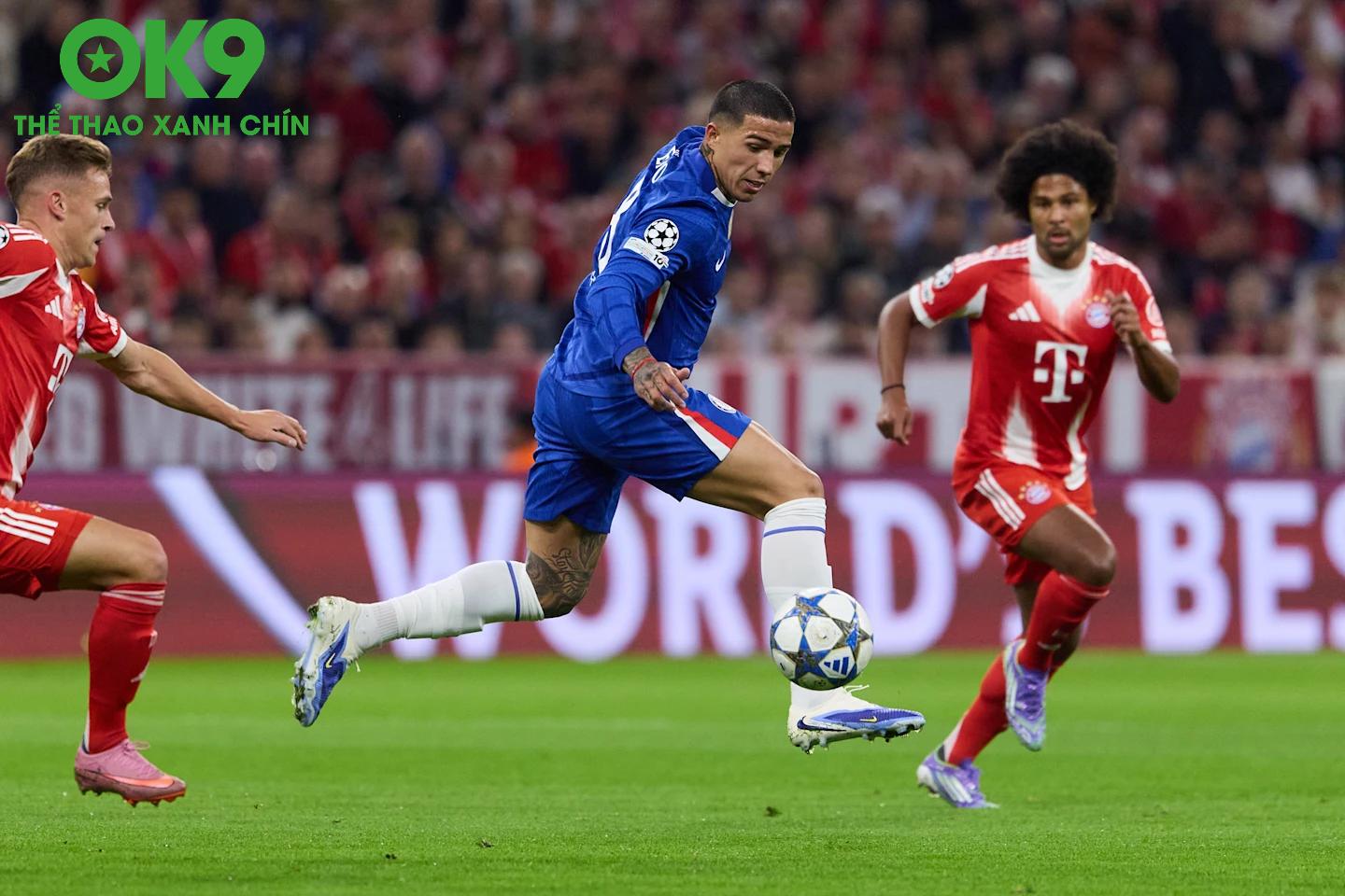 Chelsea Gây Sốc: Palmer và Maresca Trỗi Dậy